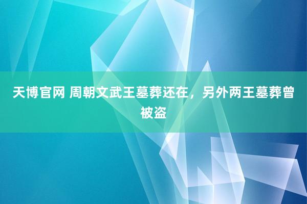 天博官网 周朝文武王墓葬还在，另外两王墓葬曾被盗
