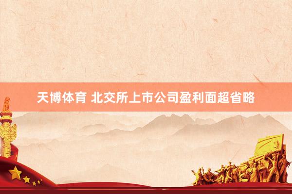天博体育 北交所上市公司盈利面超省略