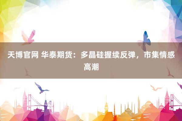 天博官网 华泰期货：多晶硅握续反弹，市集情感高潮