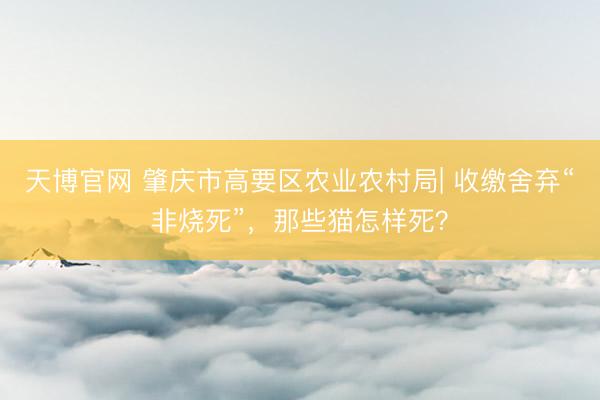 天博官网 肇庆市高要区农业农村局| 收缴舍弃“非烧死”，那些猫怎样死？